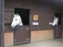 Heavy Horse Centre, Verwood - June 2018